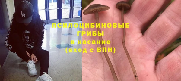 ECSTASY Козловка