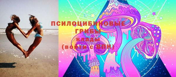 ПСИЛОЦИБИНОВЫЕ ГРИБЫ Краснослободск