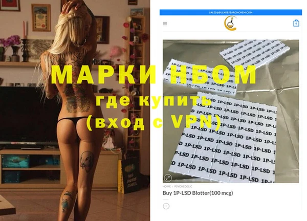 стафф Коряжма