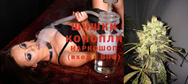 стафф Коряжма